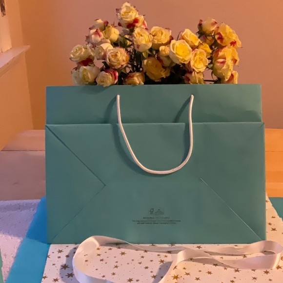🎀 TIFFANY & CO. BAG & BOXES 🎀 - Picture 11 of 16